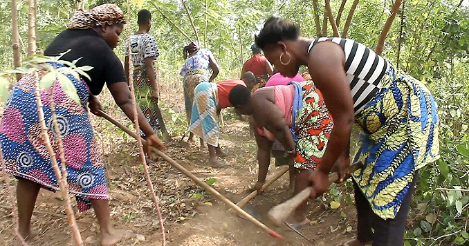 Women clearing dry vegetation and creating firebreaks to reduce wildfire risks.