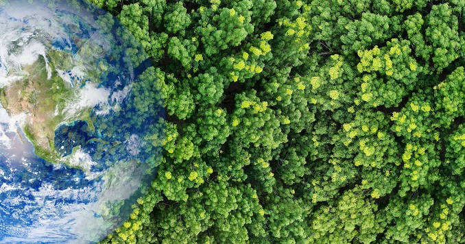 Aerial perspective of the globe merging with a forest.