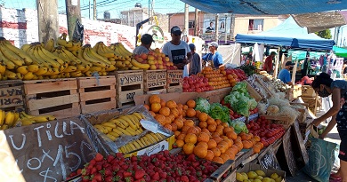 View of a colorful outdoor fruit stand